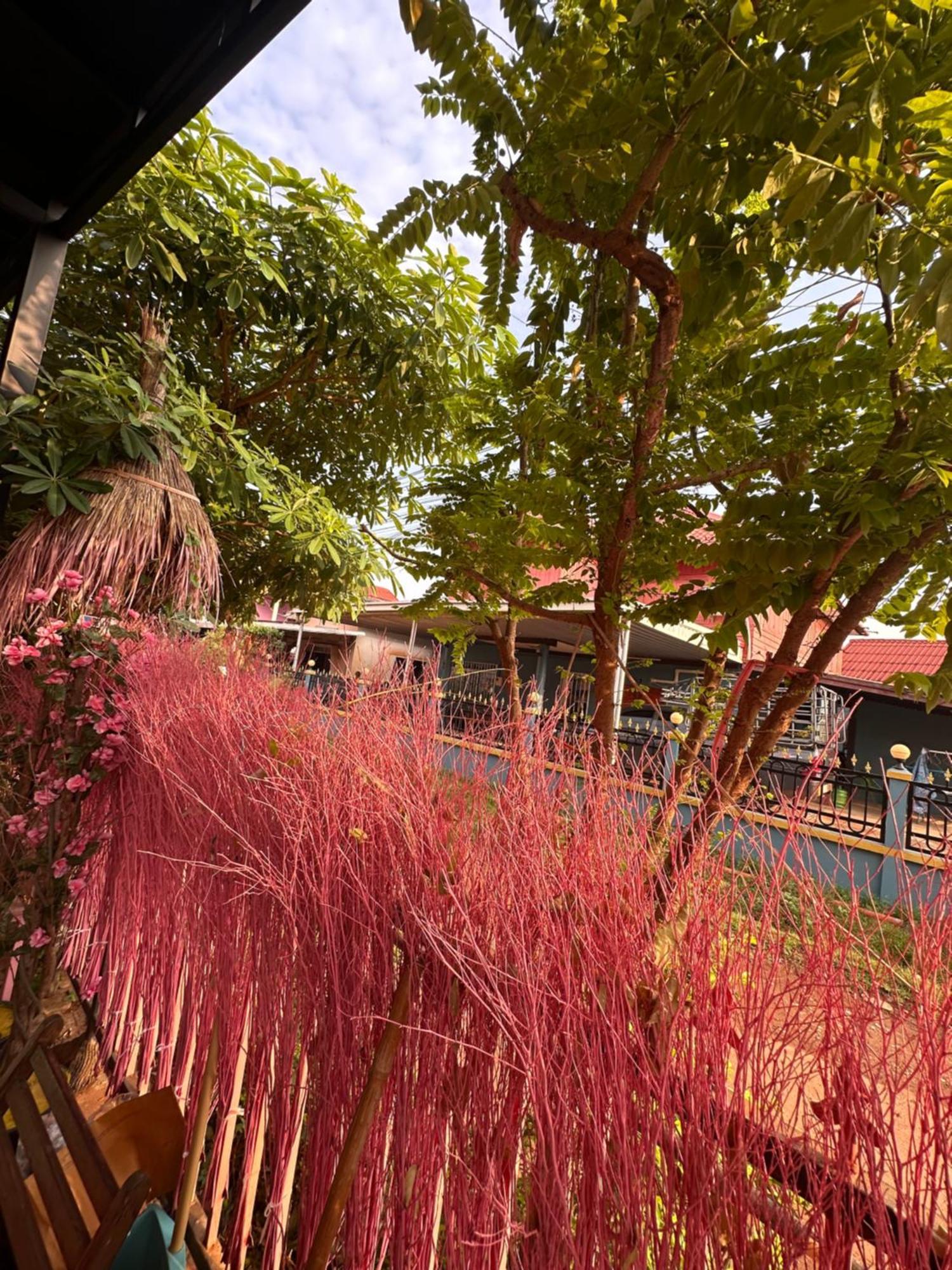 Heaven Guesthouse Pakse Exterior photo